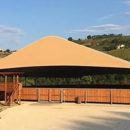 Monterosato